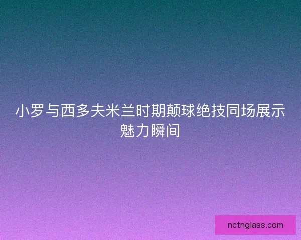 小罗与西多夫米兰时期颠球绝技同场展示魅力瞬间